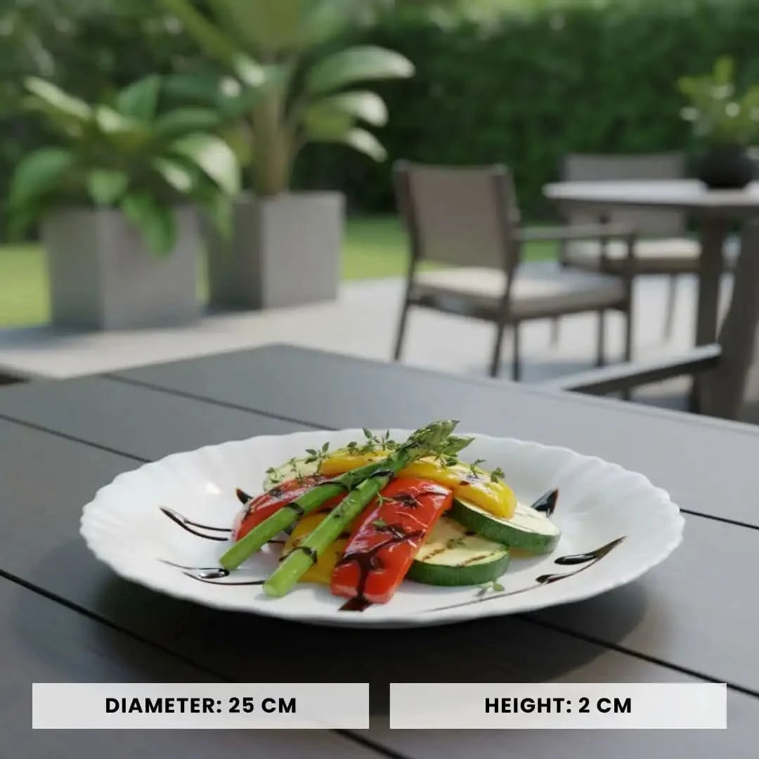 Opal White Dinner Plate