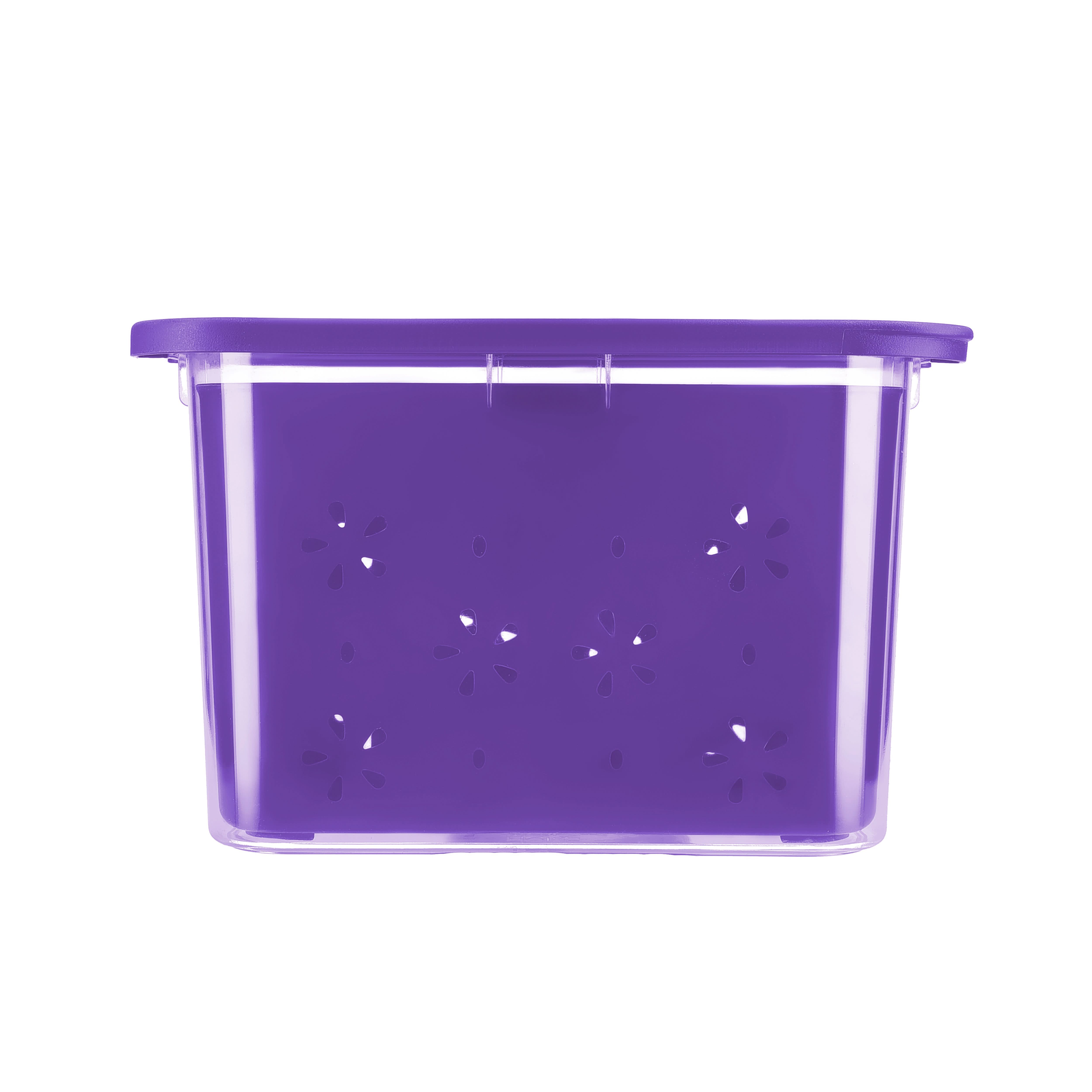 Transparent Strainer+Storage Box 2 Ltr