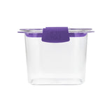 Transparent Storage Box 0.6 Ltr