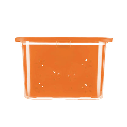 Transparent Strainer+Storage Box 2 Ltr