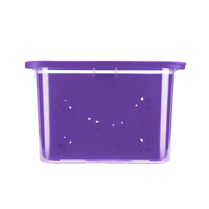 Transparent Strainer+Storage Box 2 Ltr