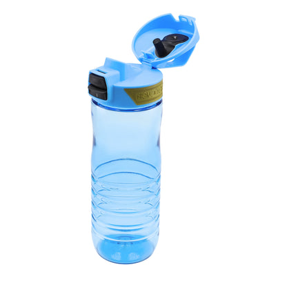 Stylish Sport Bottle 650 Ml