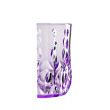 Acrylic Water Glass