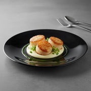 Opal Black Dinner Plate