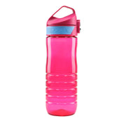 Stylish Sport Bottle 650 Ml