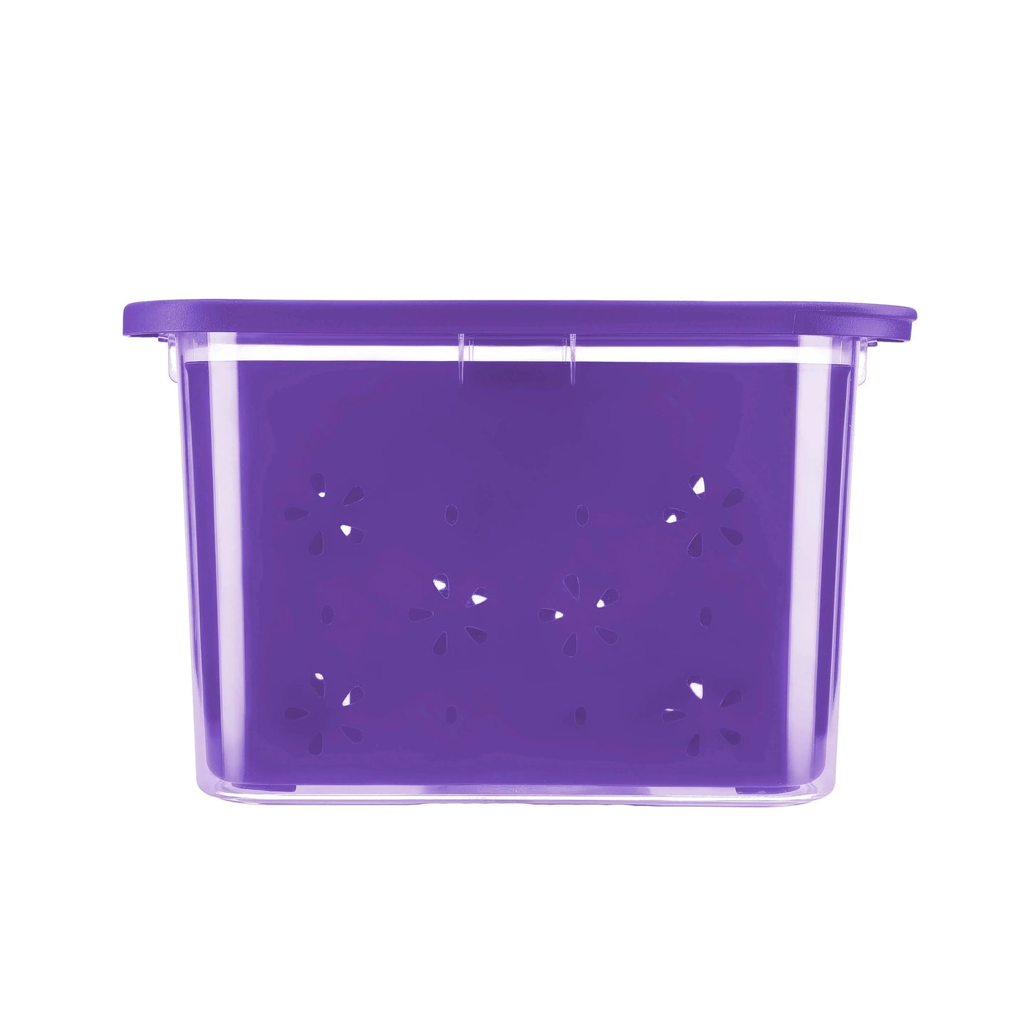 Transparent Strainer+Storage Box 2 Ltr