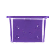 Transparent Strainer+Storage Box 2 Ltr