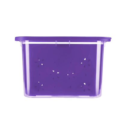 Transparent Strainer+Storage Box 2 Ltr