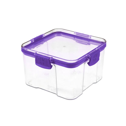Transparent Storage Box 0.75 Ltr