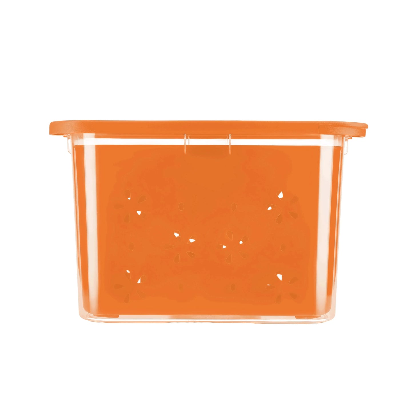 Transparent Strainer+Storage Box 2 Ltr