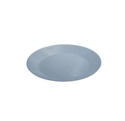 Opal White Dinner Plate